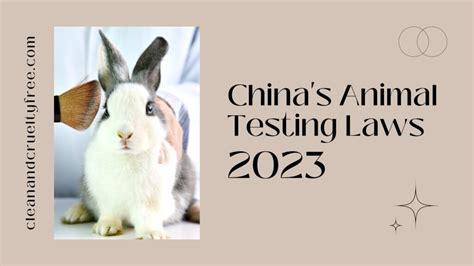 ysl animal testing laws.